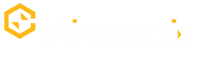 Chiropratix_small_white_logo